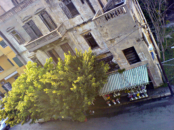 Flower Shop - Achrafieh Beirut