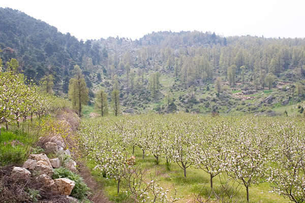 mechmech - North Lebanon - Road Trip - April 2006