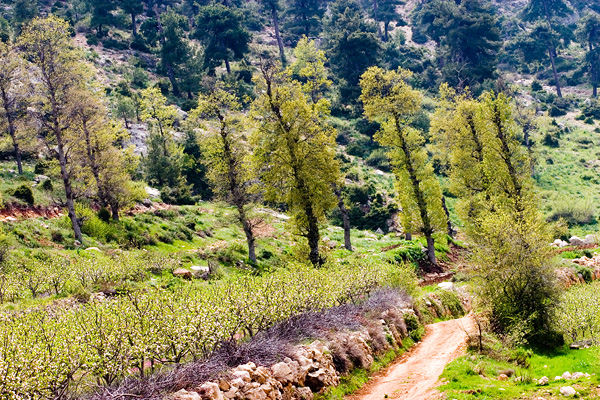 mechmech - North Lebanon - Road Trip - April 2006