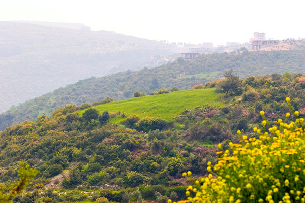 Minieh - North Lebanon