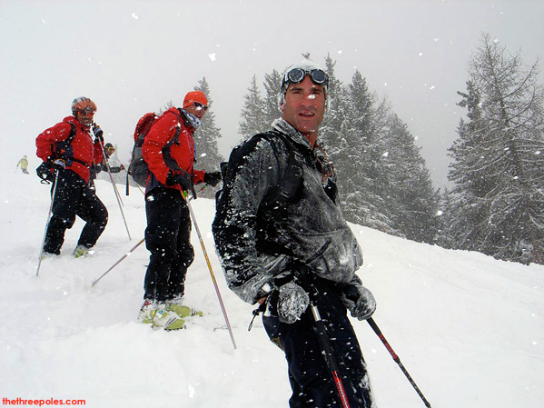 Cedars Spotted on the Glaciers of Switzerland - PDG