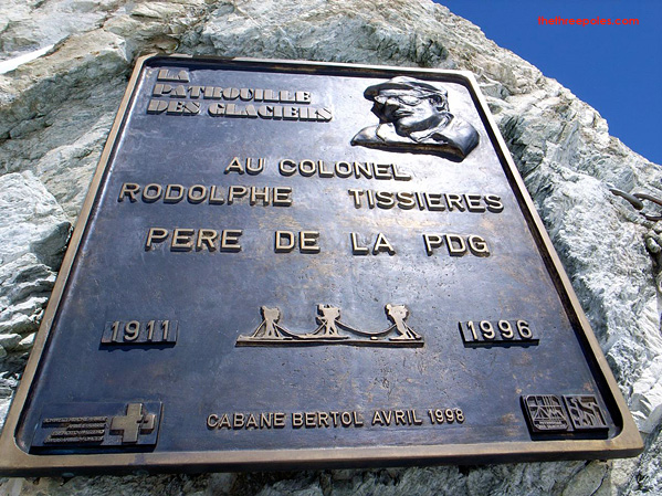 Cedars Spotted on the Glaciers of Switzerland - PDG