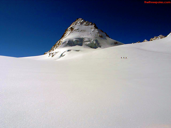 Cedars Spotted on the Glaciers of Switzerland - PDG