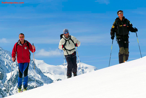 Cedars Spotted on the Glaciers of Switzerland - PDG
