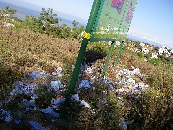 Billboard Pollution - Corporate Ethics?