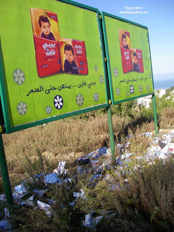 Billboard Pollution - Corporate Ethics?