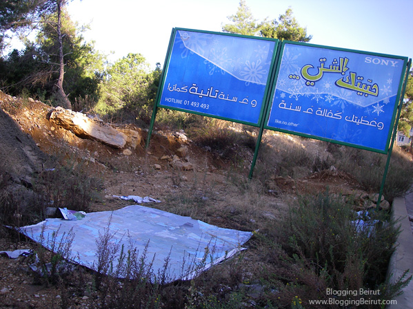 Billboard Pollution - Corporate Ethics?