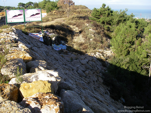 Billboard Pollution - Corporate Ethics?