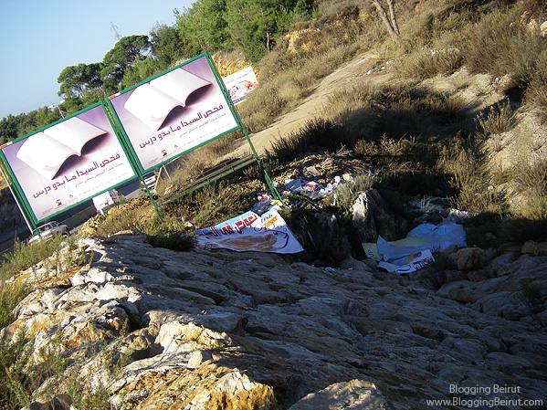 Billboard Pollution - Corporate Ethics?
