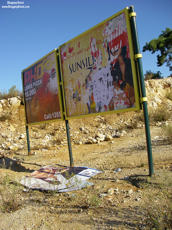 Billboard Pollution - Corporate Ethics?