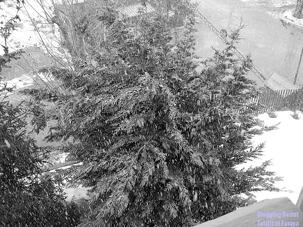 Waking up to Fresh Snow - Faraya, Kfardebian