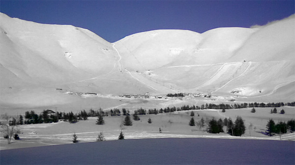 The Cedars of Lebanon - Margaretha Reports