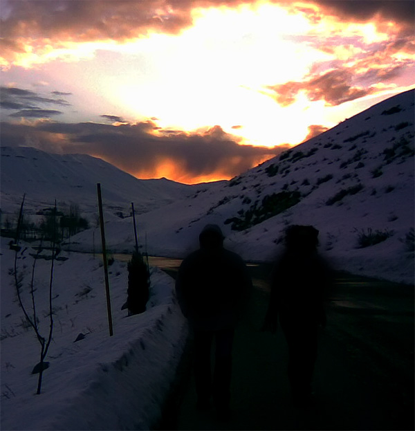 The Cedars of Lebanon - Margaretha Reports