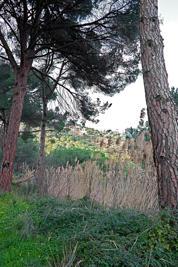 Beit Mery - the treasure
