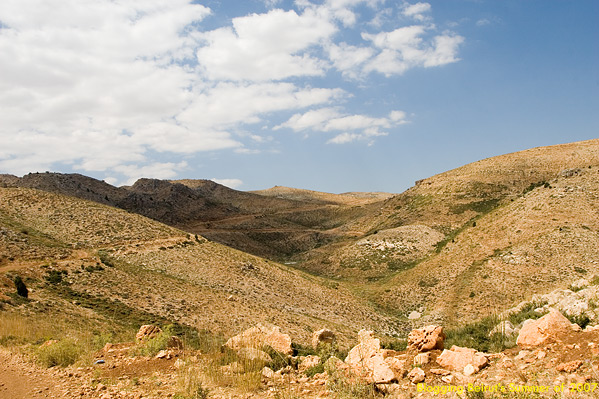 Quad Expedition from Faraya to The Cedars - Summer of 2007
