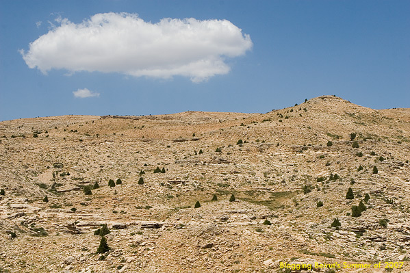 Quad Expedition from Faraya to The Cedars - Summer of 2007