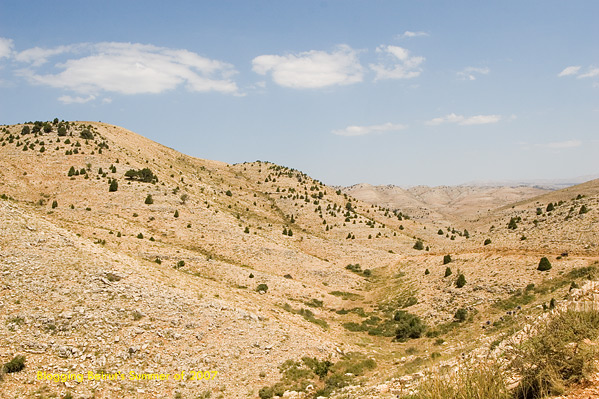 Quad Expedition from Faraya to The Cedars - Summer of 2007