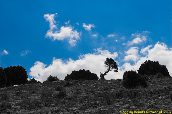 Quad Expedition from Faraya to The Cedars - Summer of 2007