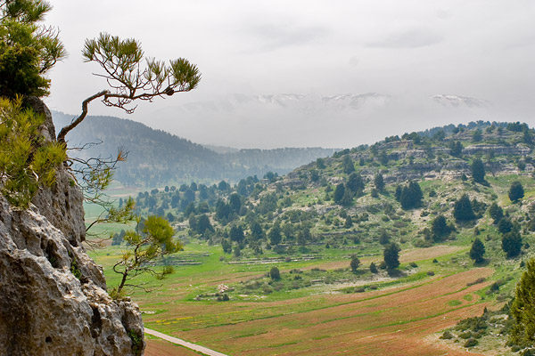 the valley of el mechmech - North Lebanon