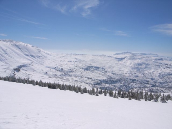 FW: More snow