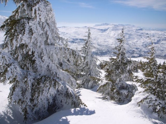 FW: More snow