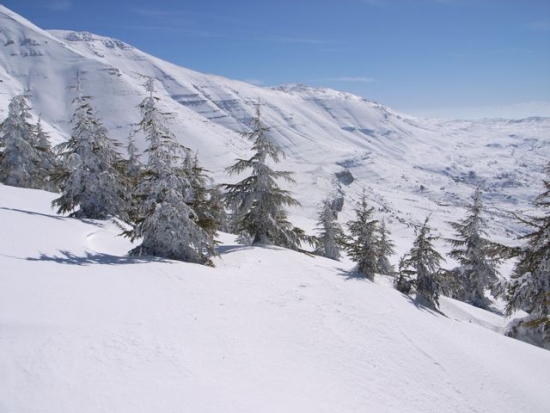 FW: More snow