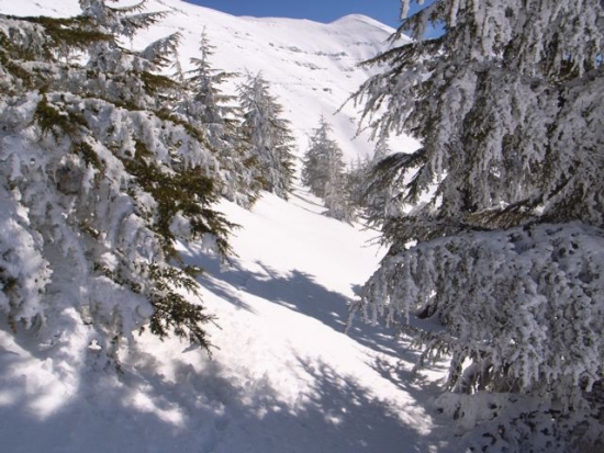 FW: More snow