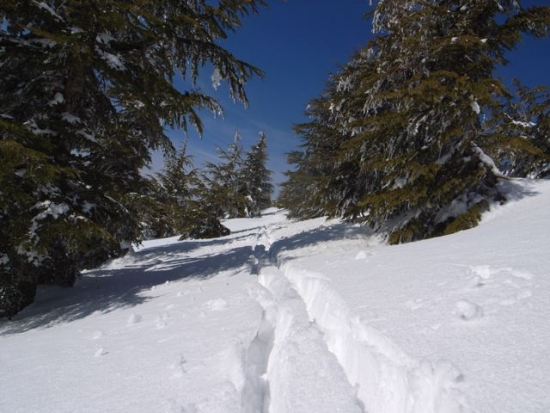 FW: More snow