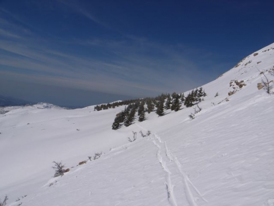 FW: More snow