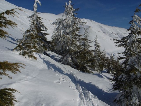 FW: More snow